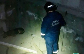 В парке Ульяновска заброшенное здание представл...