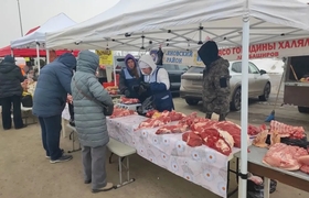 В Засвияжье открылась сельскохозяйственная ярмарка