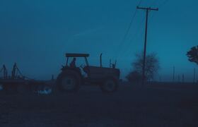 В аграрном секторе Ульяновской области замечен ...