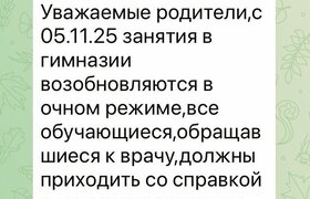 Гимназия №30 в Ульяновске возобновляет занятия ...