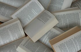 Ульяновск готовится к масштабному литературному...