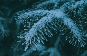 В Ульяновской области 2 марта ожидается мокрый ...