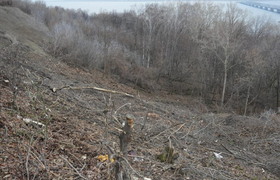 В Ульяновске расчистят склон парка Дружбы народ...