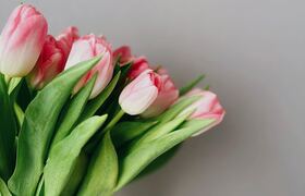 В Ульяновске мошенники обманули пенсионерку на ...