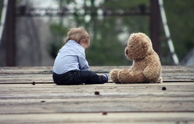 Следком проводит проверку после нападения собак...