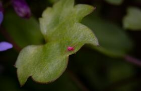 В Ульяновской области начался сезон активности ...