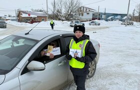 В Ульяновской области «женские патрули» ГИБДД п...