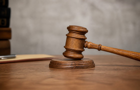 Суд обязал пенсионерку выселить каймана, лису и...