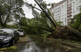 Стихия в Ульяновске: 111 деревьев повалены, шес...