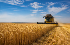 Ульяновские аграрии намолотили более 1,7 миллио...