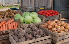 Продовольственные цены в Ульяновской области сн...