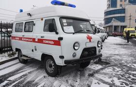 В Ульяновской области за новогодние праздники б...