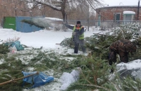 В Ульяновске пообещали решить вопрос с выброшен...