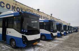 Автобусы выйдут по новым маршрутам: в Ульяновске совсем скоро усилят общественный транспорт