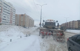 В городские улицы было высыпано более 200 тонн ...