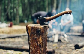 Зеленый щит Ульяновска: как телеграм-бот помога...