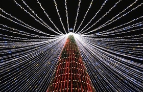 В центре Ульяновска поставили 8-километровый св...