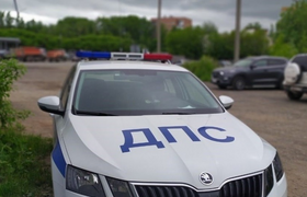 У жителя Ульяновской области конфисковали рарит...