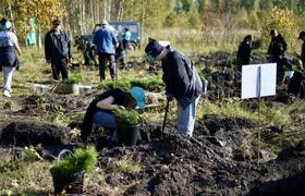 Когда труд — это забота: в Майне высадили 4 600...