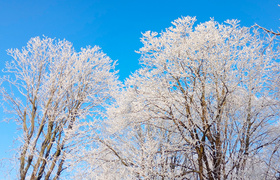 В Ульяновской области школьникам отменили уроки...