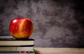 Родные языки в ульяновских школах: без изменени...
