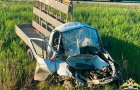 Человек погиб в Сурском районе при ДТП с грузов...