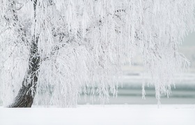 В Ульяновской области объявлен «желтый» уровень...