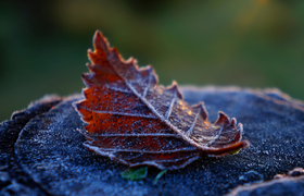 В Ульяновске морозы станут слабее к 19 января
