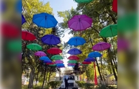 В парке Победы Ульяновска повесили красочные зо...