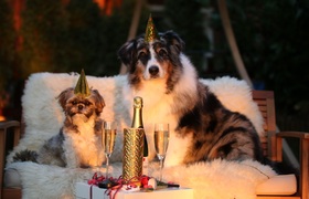 Врач из Ульяновска рассказала как избежать отра...