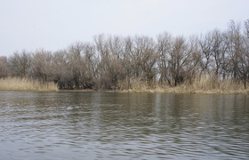 В Ульяновской области ограничили движение из-за...