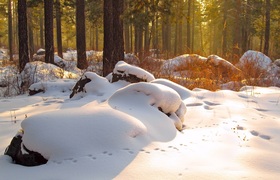 Прокуратура обязала убрать снег с крыш школ и д...