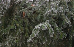 Ульяновцев ждет теплый и солнечный понедельник,...